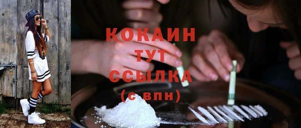 spice Аркадак