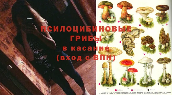 apvp Беломорск