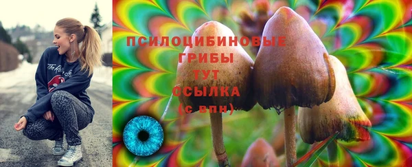 MESCALINE Белокуриха